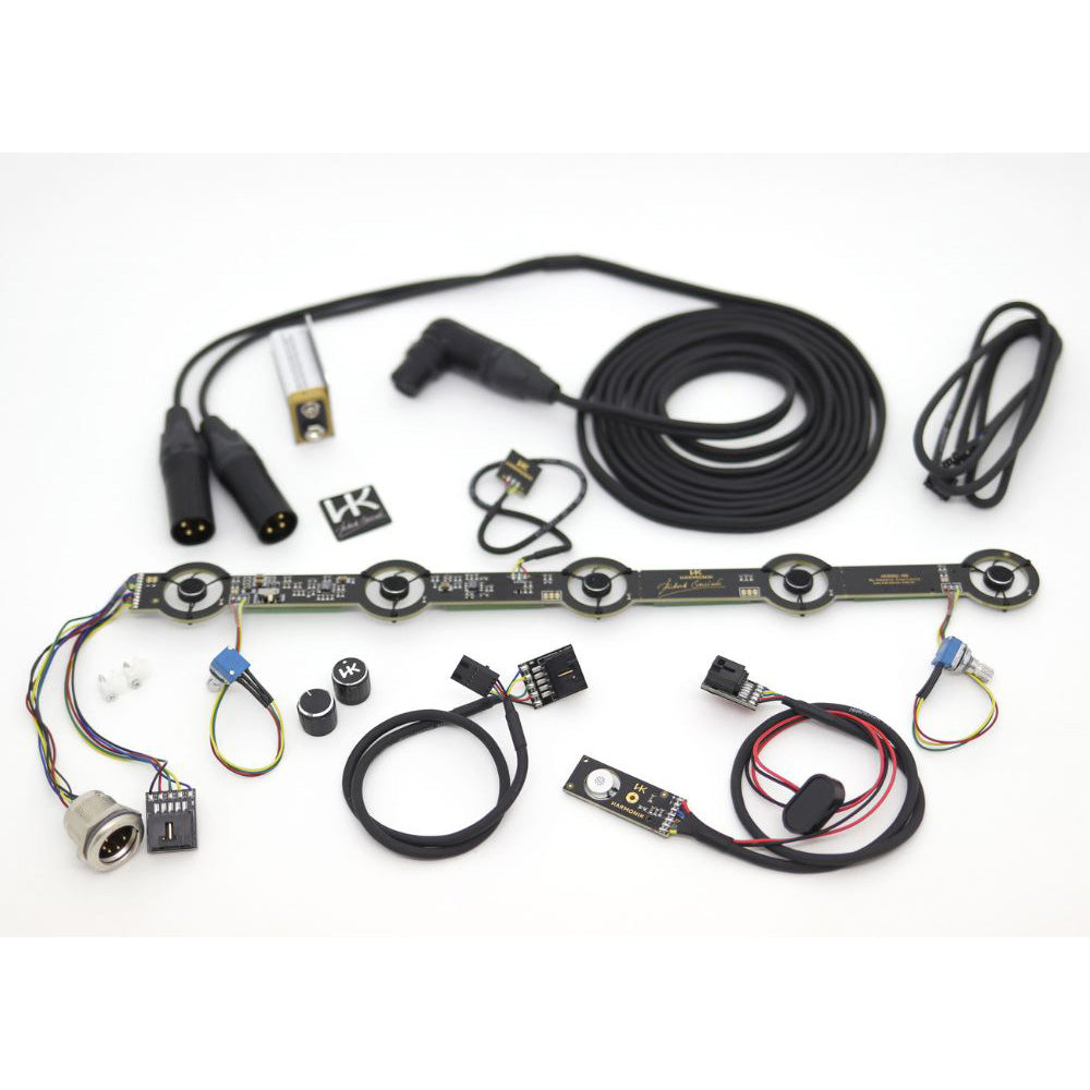 Harmonik AC 5001-RG Accordion Microphone