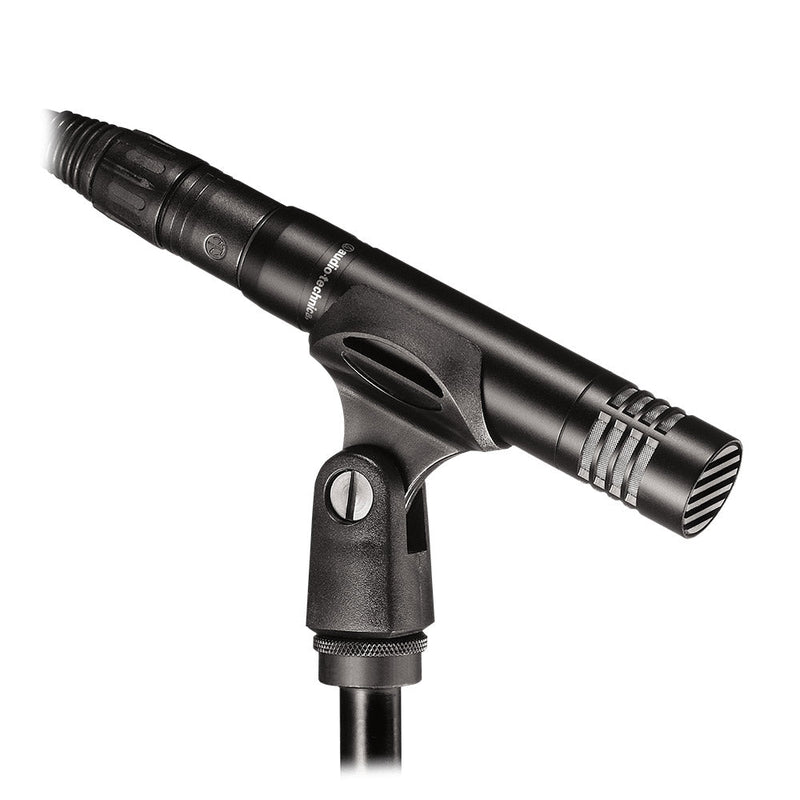 Audio Technica Cardioid Condenser Mic AT2021-microphone-Audio Technica- Hermes Music