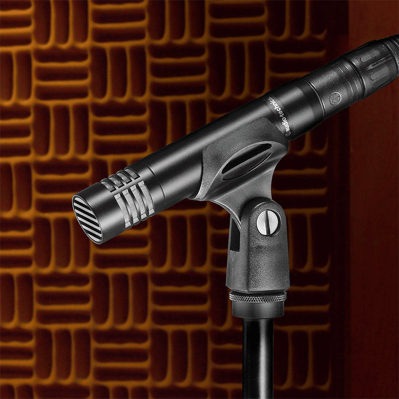 Audio Technica Cardioid Condenser Mic AT2021-microphone-Audio Technica- Hermes Music