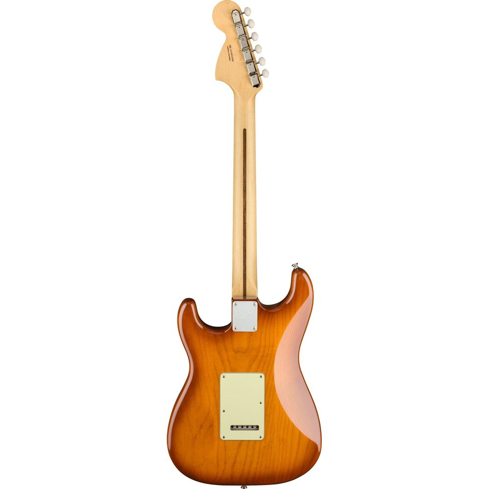 Fender American Performer Stratocaster in Honey Burst
