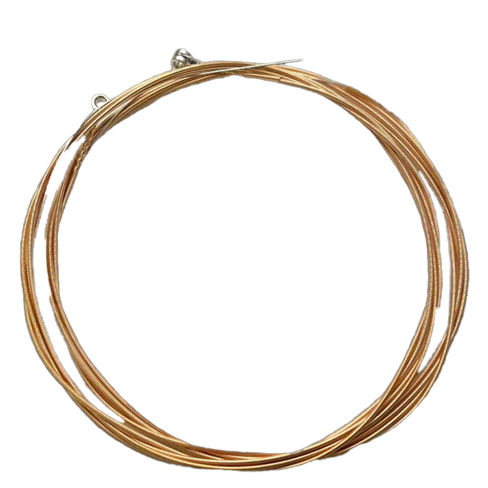 Fortaleza Acoustic Guitar Bronze 12 Strings
