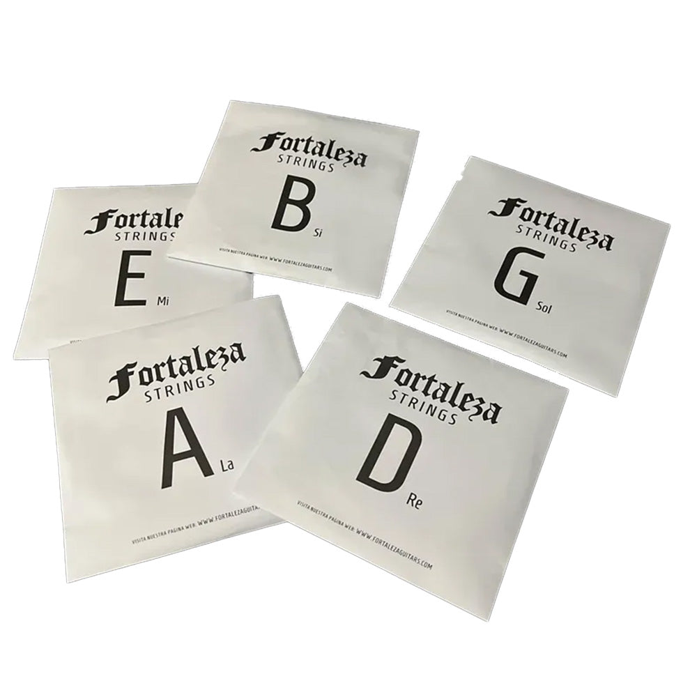 Fortaleza Bass Guitar Steel 5 Set