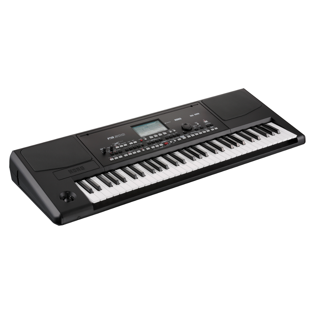 Korg PA300 61 Key Arranger Regular 194744014345