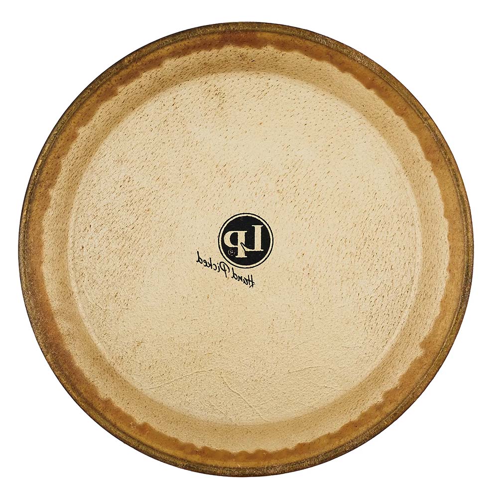 Latin Percussion MTD Rawhide Requinto Head, 9-3/4
