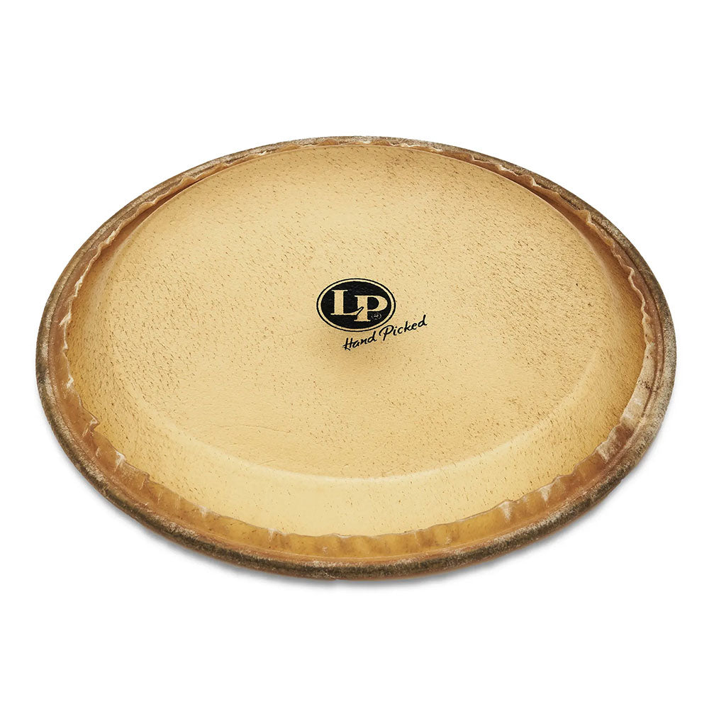 Latin Percussion MTD Rawhide Requinto Head, 9-3/4"-Latin Percussion-Hermes Music