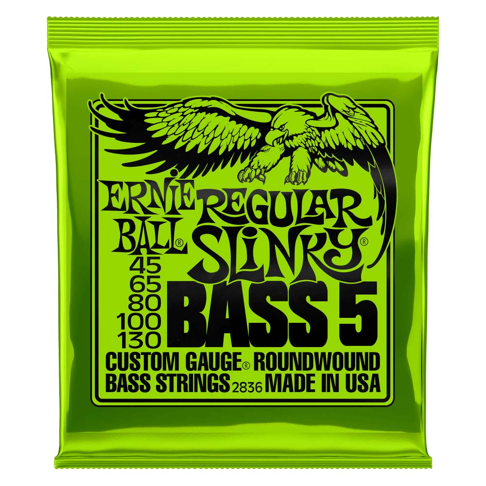 Ernie Ball Regular Slinky Nickel Wound 5-String Electric Bass Strings 45-130 Gauge-accessories-Ernie Ball-Hermes Music