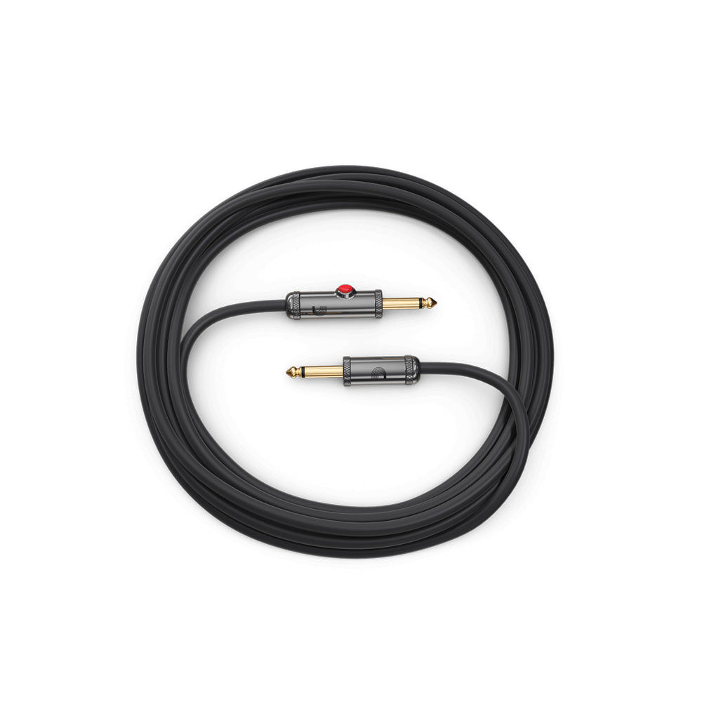 D'Addario PW-AGL-30 Circuit Breaker 30" Straight Instrument Cable with Latching Cut-Off Switch-Cables-Daddario-Hermes Music