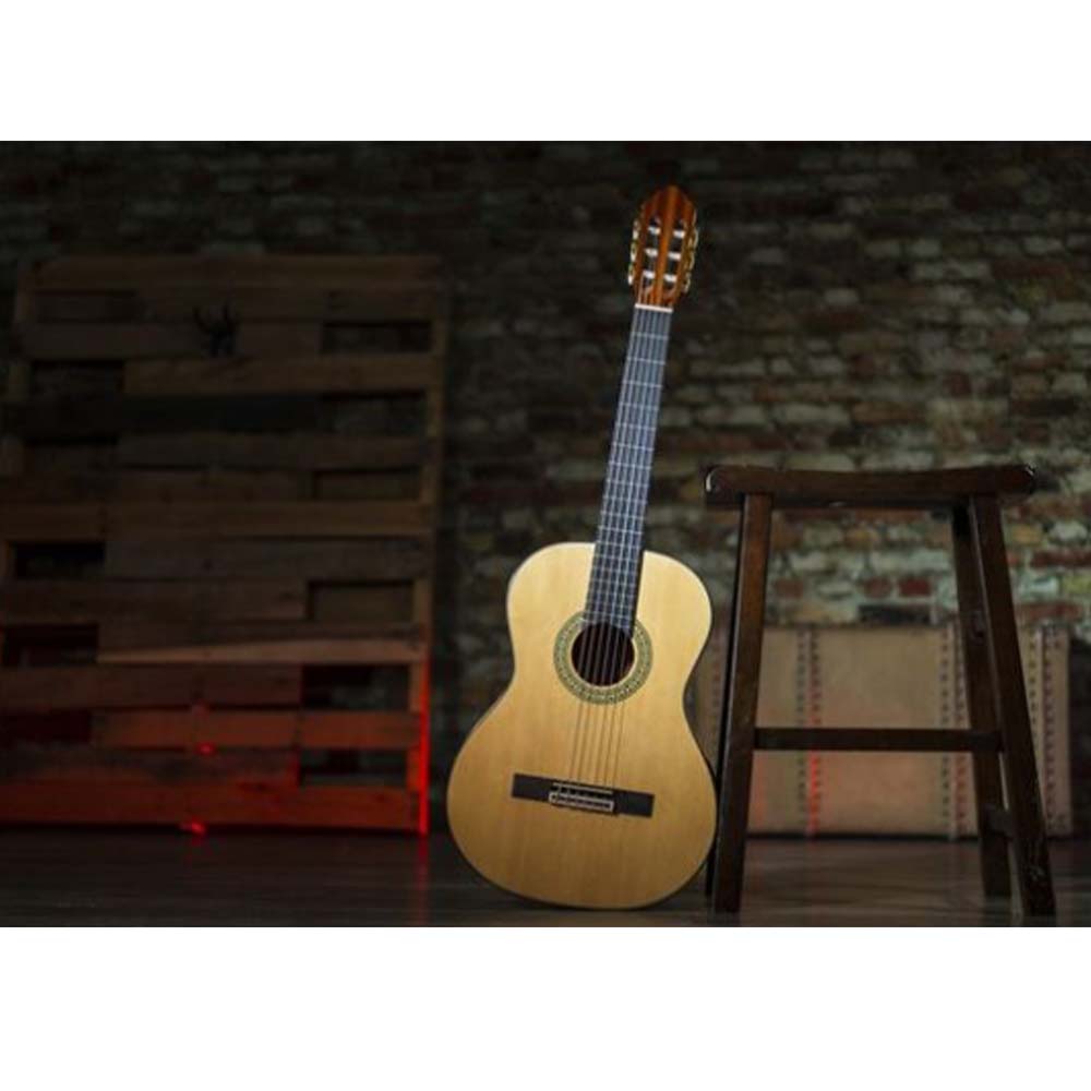 Peavey Delta Woods™ CNS-1™ Classical Nylon String Guitar-guitar-Peavey- Hermes Music