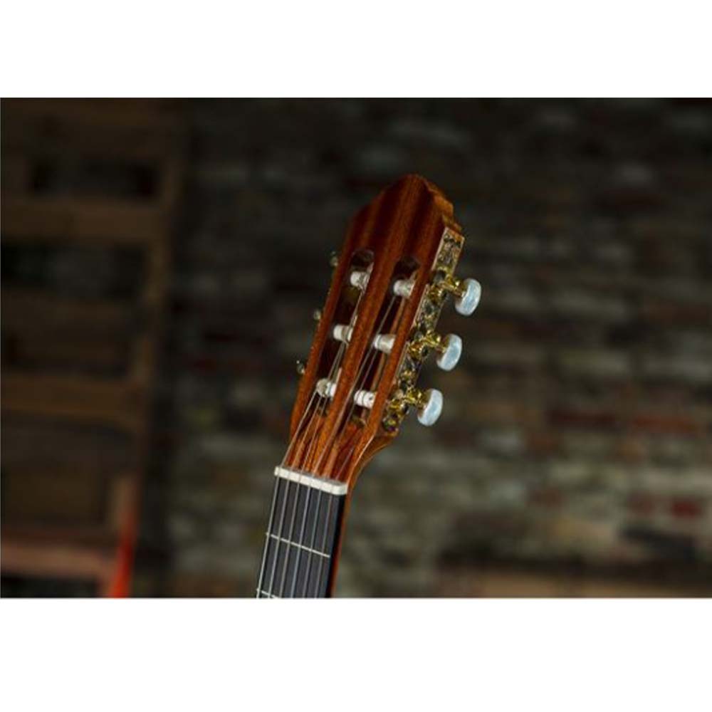 Peavey Delta Woods™ CNS-1™ Classical Nylon String Guitar-guitar-Peavey- Hermes Music