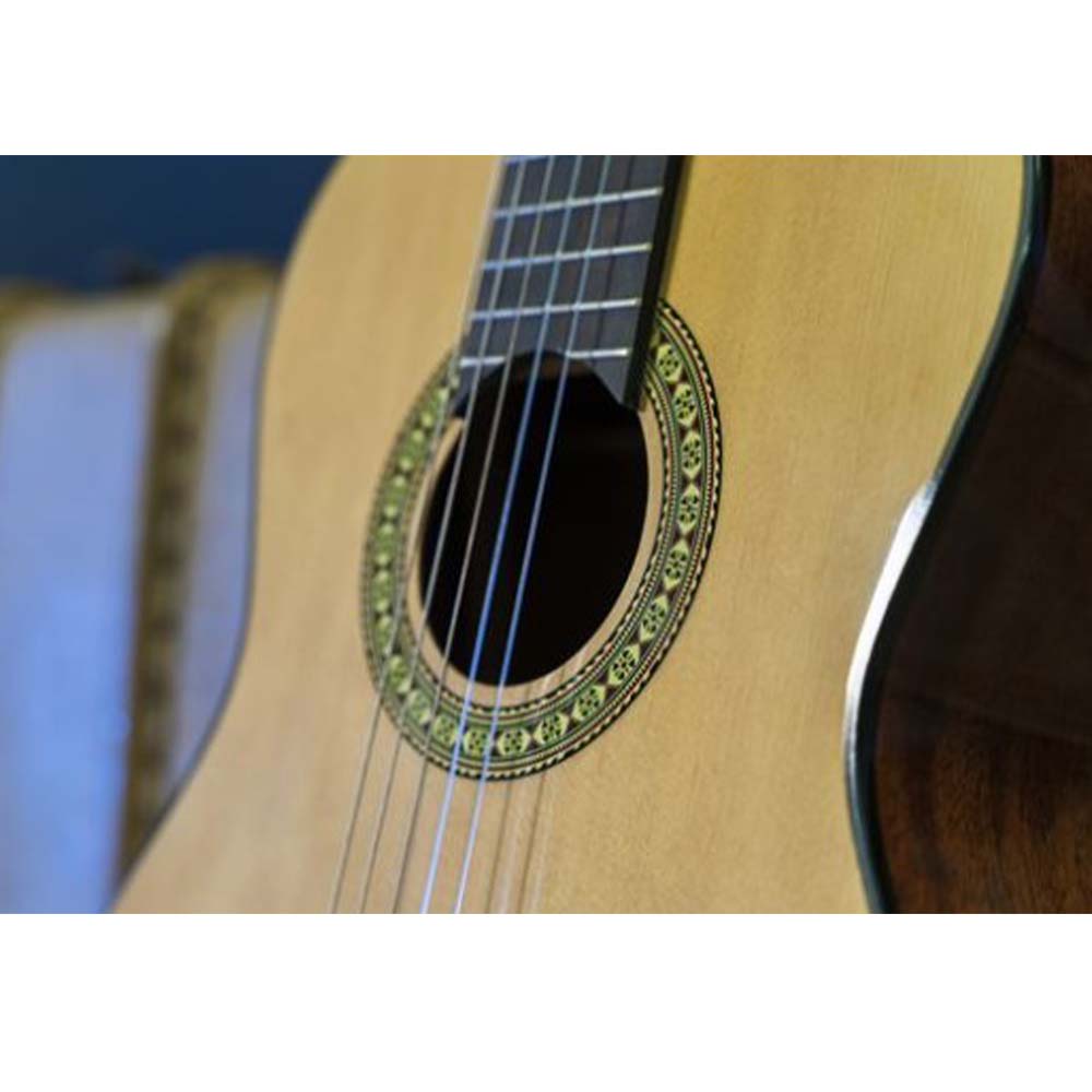 Peavey Delta Woods™ CNS-1™ Classical Nylon String Guitar-guitar-Peavey- Hermes Music