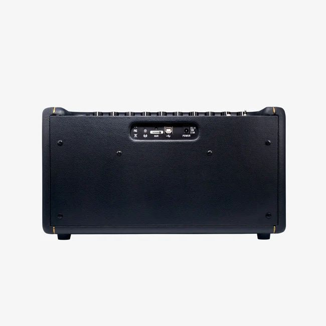 Spark 40-Watt Smart Guitar Amp and Bluetooth Speaker in Black