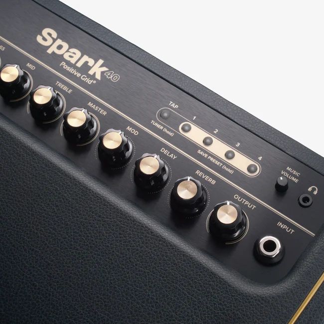 Spark 40-Watt Smart Guitar Amp and Bluetooth Speaker in Black
