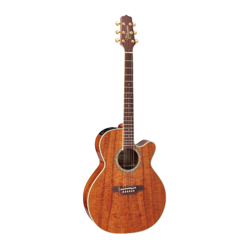 Takamine エレアコ Takamine