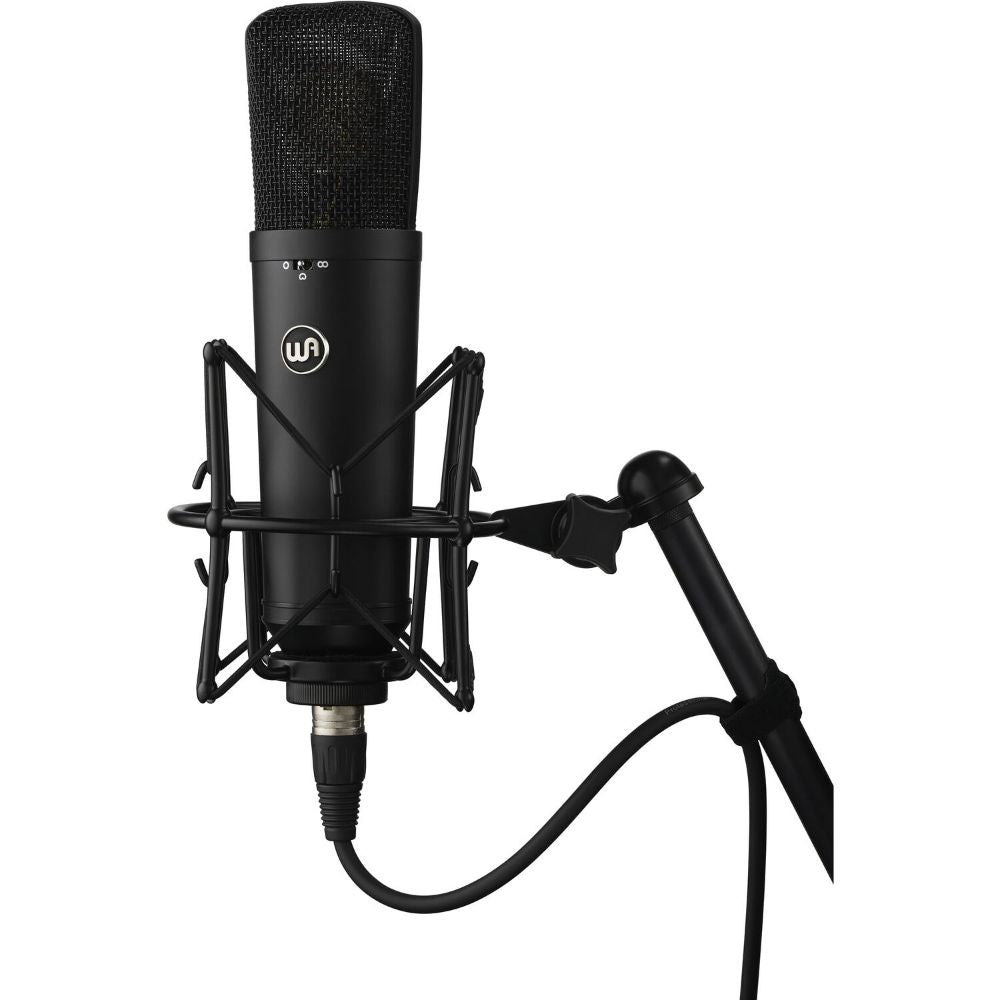 Warm Audio WA-87 R2 Large-Diaphragm Multipattern Condenser Microphone (Black)-microphones-Warm Audio-Hermes Music