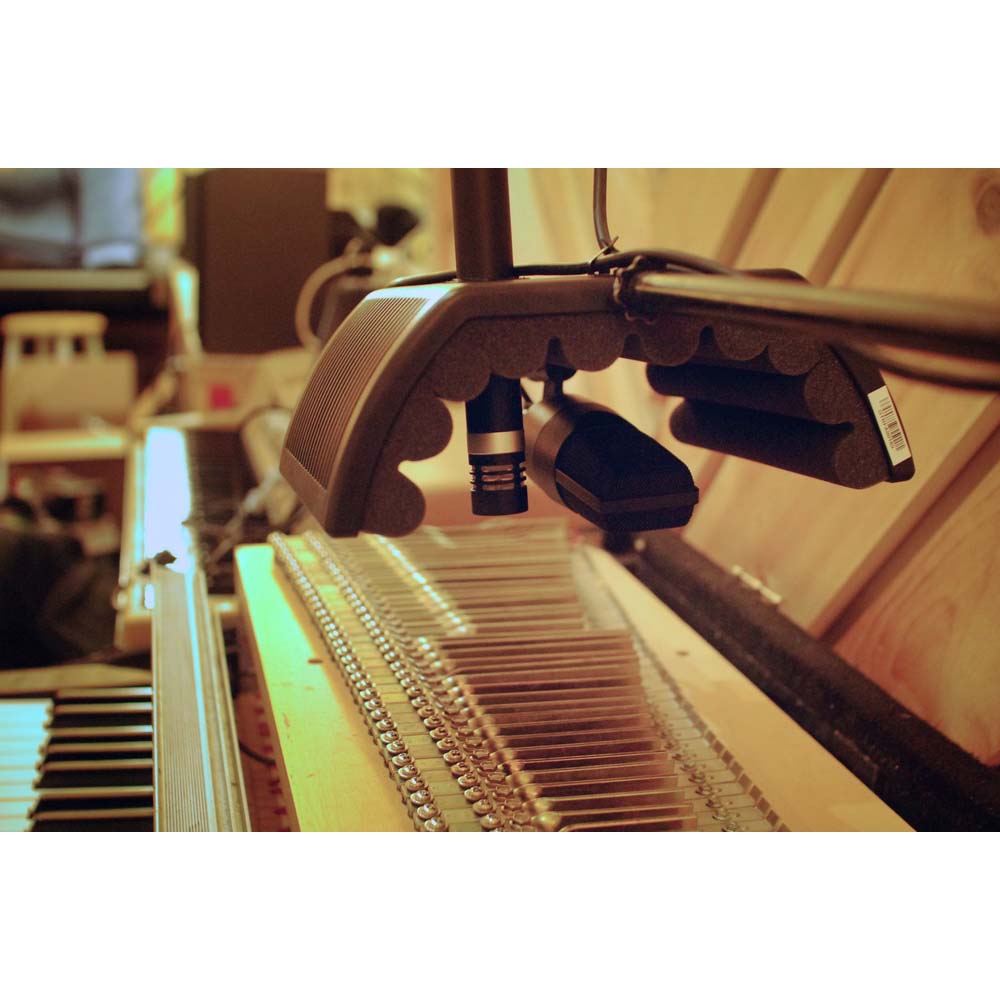 sE Electronics guitaRF Portable Isolation Filter for Dual Micing of Guitar Amplifiers-Home Studio-SE Electronics- Hermes Music