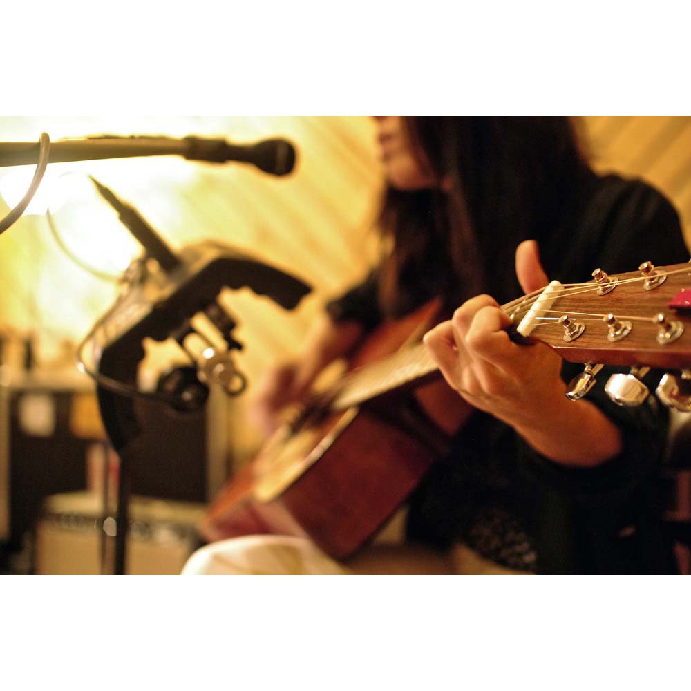 sE Electronics guitaRF Portable Isolation Filter for Dual Micing of Guitar Amplifiers-Home Studio-SE Electronics- Hermes Music