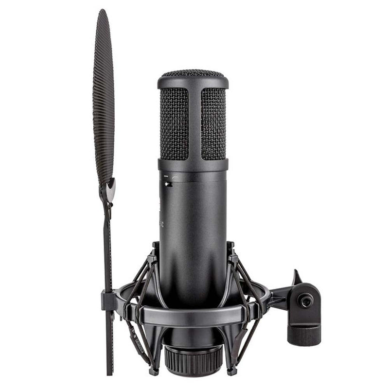 sE Electronics sE2200 Large Diaphragm Condenser Microphone with Shockmount & Filter-microphone-SE Electronics- Hermes Music